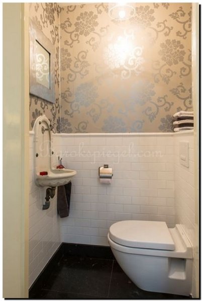 moderne-spiegel-zilveren-lijst-in-toilet
