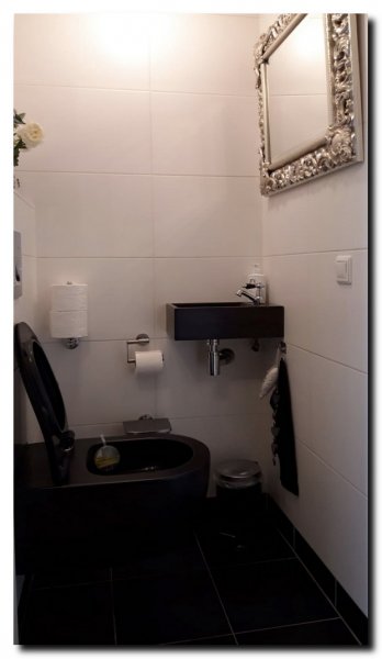 luxe-zilveren-spiegel-op-zwart-wit-toilet-2