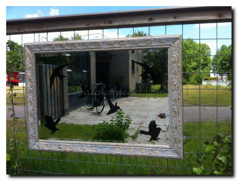 Vaardigheid Het beste prioriteit Spiegels ter decoratie in de tuin, waar moet u op letten - barokspiegel